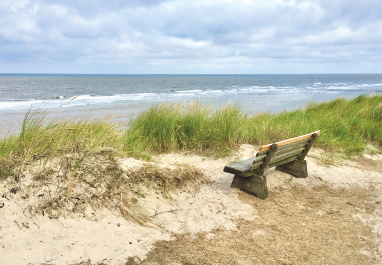 Direkt hinter der Klinik gibt es einen Weg auf den Deich. Genießen Sie den Ausblick auf die Nordsee!
