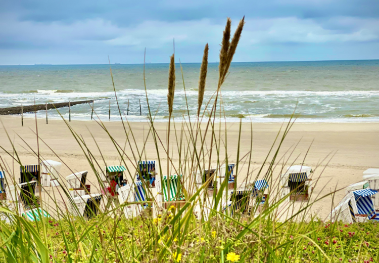 Die Insel Wangerooge bietet einen großen Sandstrand der zur Aktivität, zum Spielen und zur Entspannung einlädt.